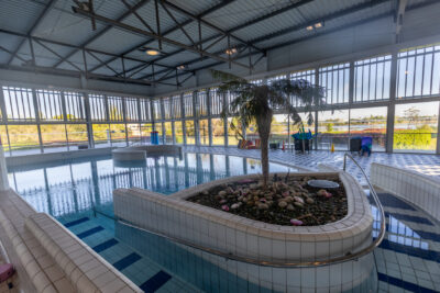 photo d'un bassin de piscine avec un ilot de palmier - Agrandir l'image 2 sur 3, fenêtre modale