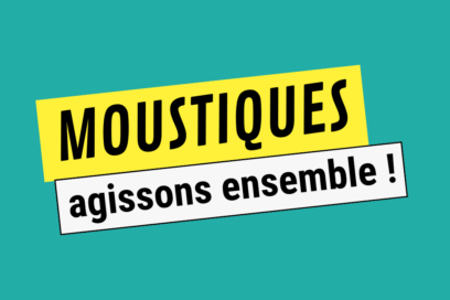 visuel fond bleu vert avec titre "moustiques, agissons ensemble !" - Agrandir l'image, fenêtre modale