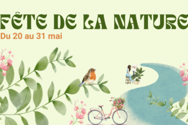 visuel fond vert clair avec illustrations à l'aquarelle d'un cours d'eau, de feuillages, d'un vélo et d'un oiseau, d'une artiste en train de peindre