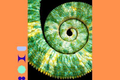 Image zoomée, sur fond noir, d'une spirale végétale vue au microscope aux couleurs vertes chatoyantes - Agrandir l'image, fenêtre modale