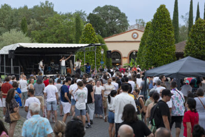 photo d'un concert, au fond on voit le groupe sur scène de jeunes gens, et le public nombreux devant, alors qu'il commence à faire sombre - Agrandir l'image 5 sur 14, fenêtre modale