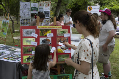 photo d'une femme et d'une jeune fille, de dos, en train de placer des cartes sur un support rouge avec des photos accrochées, en extérieur - Agrandir l'image 5 sur 19, fenêtre modale