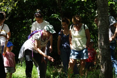 photo de quelques personnes rassemblées dehors, à l'ombre d'arbres, une personne se penche et montre quelque chose - Agrandir l'image 18 sur 19, fenêtre modale