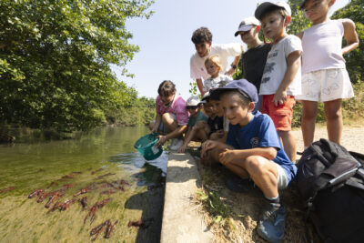 photo d'un groupe d'enfants agenouillés devant un cours d'eau, fascinés ils regardent l'animatrice laisser partir des écrevisses dans l'eau - Agrandir l'image 4 sur 21, fenêtre modale