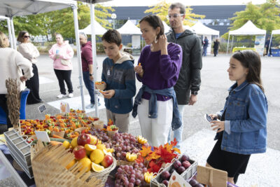 photo d'un stand de fruits et légumes, une famille avec un jeune garçon et une jeune fille, un homme et une femme regardent l'étal de fruits, raisins, tomates cerises - Agrandir l'image 10 sur 11, fenêtre modale
