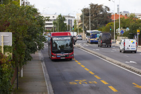 Bus sur la ligne de bus
