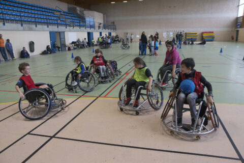 Groupes d'enfants en fauteuil roulant dans un gymnase