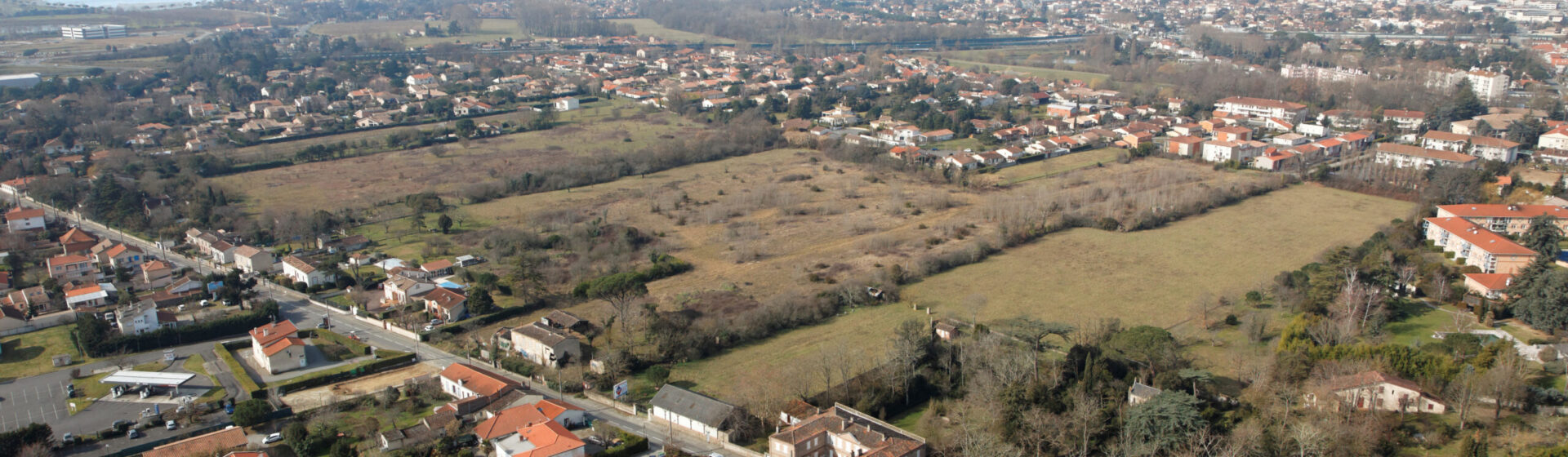 Photo vue du ciel d'une zone d'habitations et de terrains verts