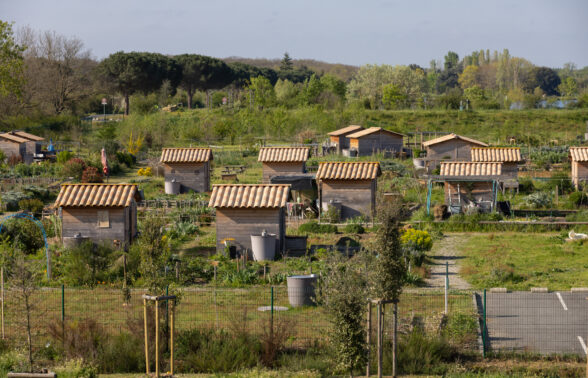 Photo de jardins partagés