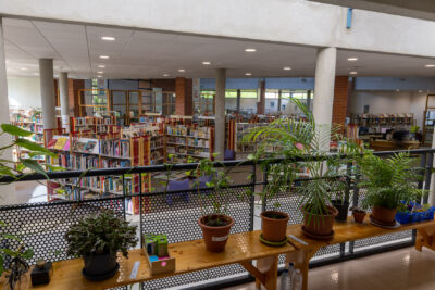 Photo du rayon de plantes de la Médiathèque - Agrandir l'image 6 sur 12, fenêtre modale