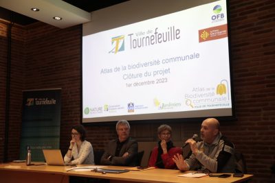 Agrandir l'image 1 sur 3, fenêtre modale