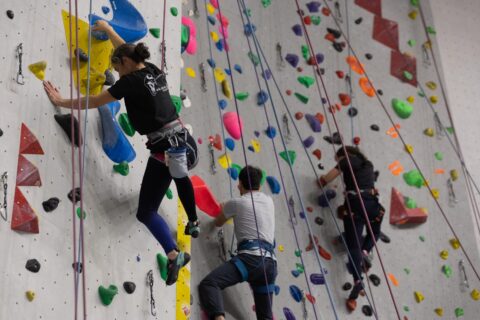 Photo de plusieurs grimpeurs sur le mur d'escalade