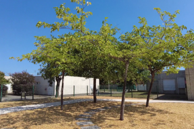 Photo de la cour d'école ombragée, quatre arbres feuillus font de l'ombre, le sol est en copeaux de bois, on voit un pas japonais - Agrandir l'image 3 sur 3, fenêtre modale