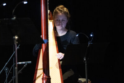 apparition de la harpiste derrière son instrument, contraste de lumière et de pénombre - Agrandir l'image 4 sur 8, fenêtre modale