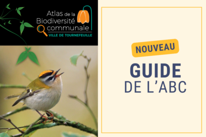 Visuel avec sur la gauche la couverture du guide de l'Atlas de la Biodiversité Communale, partie haute fond noir avec écrit Atlas de la biodiversité communale et sous le titre "ville de tournefeuille", et partie basse sur la majorité de la couverture une photo d'un oiseau qui pépie, posé sur une branche - Agrandir l'image, fenêtre modale