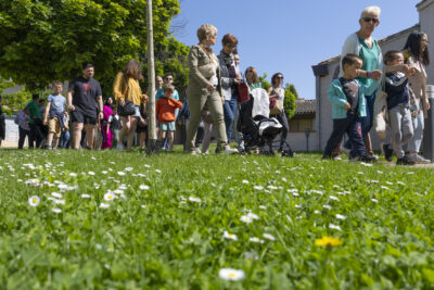 Photo en contreplongée des marcheurs en balade avec vue au premier plan sur les marguerites - Agrandir l'image 5 sur 16, fenêtre modale