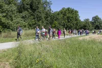 Groupes de personnes en balade sur un chemin piétonnier dans un espace vert - Agrandir l'image 9 sur 16, fenêtre modale