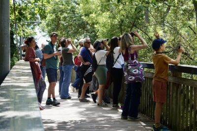 Découverte de la nature  - Agrandir l'image 26 sur 32, fenêtre modale