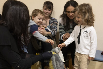 Enfants qui touchent et regardent une peluche  - Agrandir l'image 21 sur 31, fenêtre modale