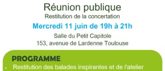 Affiche qui annonce une réunion publique sur le grand parc du Touch. Toutes les informations sont retranscrites dans l'article.