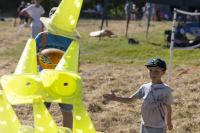 Agrandir l'image 8 sur 15, fenêtre modale