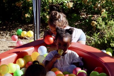 Agrandir l'image 11 sur 14, fenêtre modale