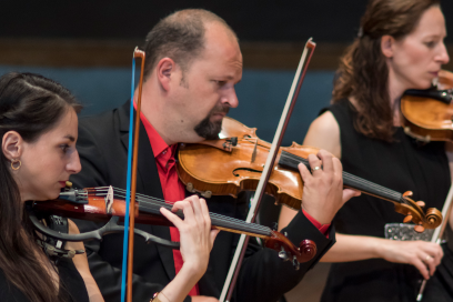 Plan rapproché sur les violonistes de l'Orchestre de profil en train de jouer à l'unisson de leur instrument dans des tenues sobres, sombres et élégantes. - Agrandir l'image, fenêtre modale