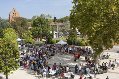 Photo prise de haut du parvis de la Mairie, à l'ombre des arbres, où un spectacle a lieu, de nombreuses personnes sont rassemblées en cercle autour du spectacle, il fait beau temps - Agrandir l'image 1 sur 22, fenêtre modale