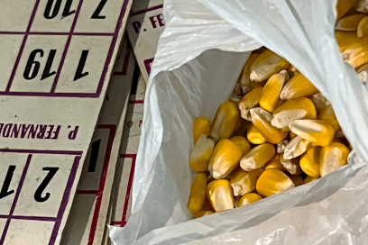 gros plan sur des cartons de loto numérotés à l'ancienne, éparpillés à proximité d'une pochette de grains de maïs séchés faisant office de jetons - Agrandir l'image, fenêtre modale