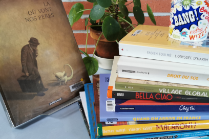 détail d'une photo montrant des albums livres colorés empilés sur une étagère contre une couverture d'album d'illustration intitulé Là où vont nos pères - Agrandir l'image, fenêtre modale