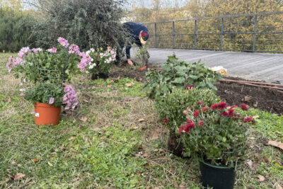 un homme est penché au-dessus d'une zone de terre fraîche dans un parc, au premier plan on voit des pots de fleurs - Agrandir l'image 1 sur 2, fenêtre modale