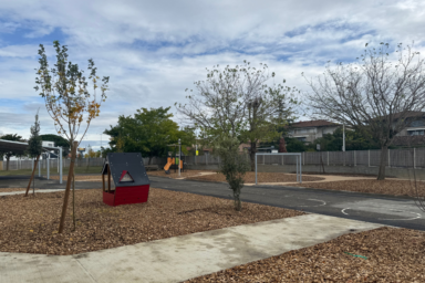 photo d'une cour d'école avec des espaces végétalisés, des arbres plantés récemment