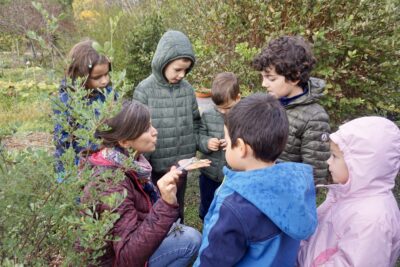 femme qui montre quelque chose dans sa main à six enfants autour d'elle, il a l'air de pleuvoir un peu - Agrandir l'image 6 sur 14, fenêtre modale