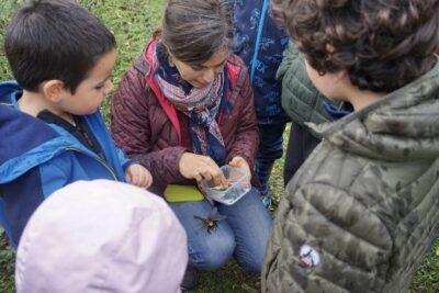 une femme accroupie montre des sortes de modèles d'insectes comme une libellule à des enfants autour d'elle en extérieur, dans un espace végétalisé - Agrandir l'image 8 sur 14, fenêtre modale