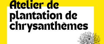 visuel fond jaune avec titre "atelier de plantation de chrysanthèmes"