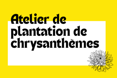 visuel fond jaune avec titre "atelier de plantation de chrysanthèmes" - Agrandir l'image, fenêtre modale